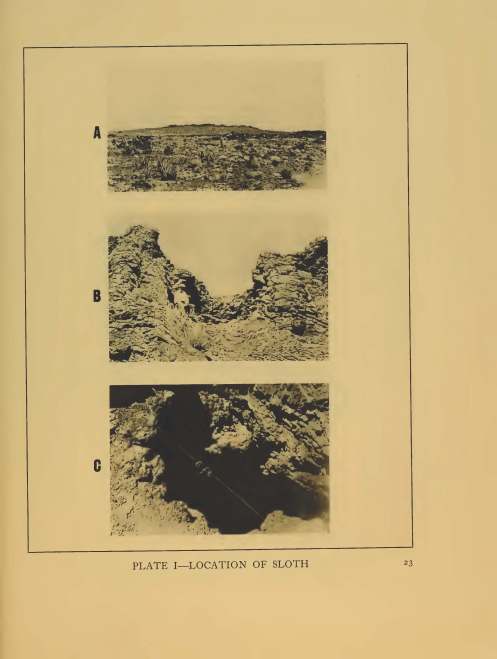 Old location photographs: "A Remarkable Ground Sloth" Yale University Press 1929