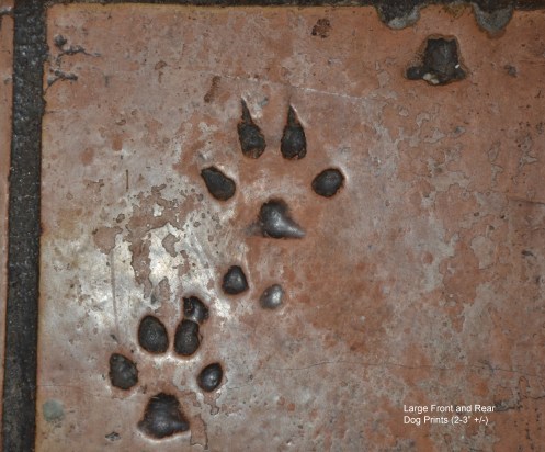 Large Front and Rear Dog Paw Print-kitchen-label